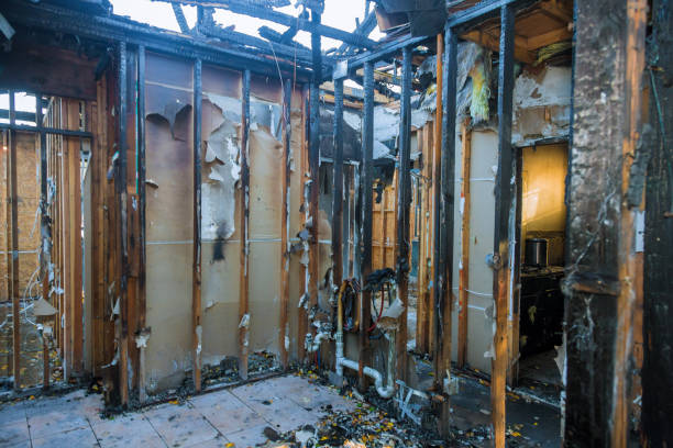 Professional Structural Rebuild technician working in Riverside, MD